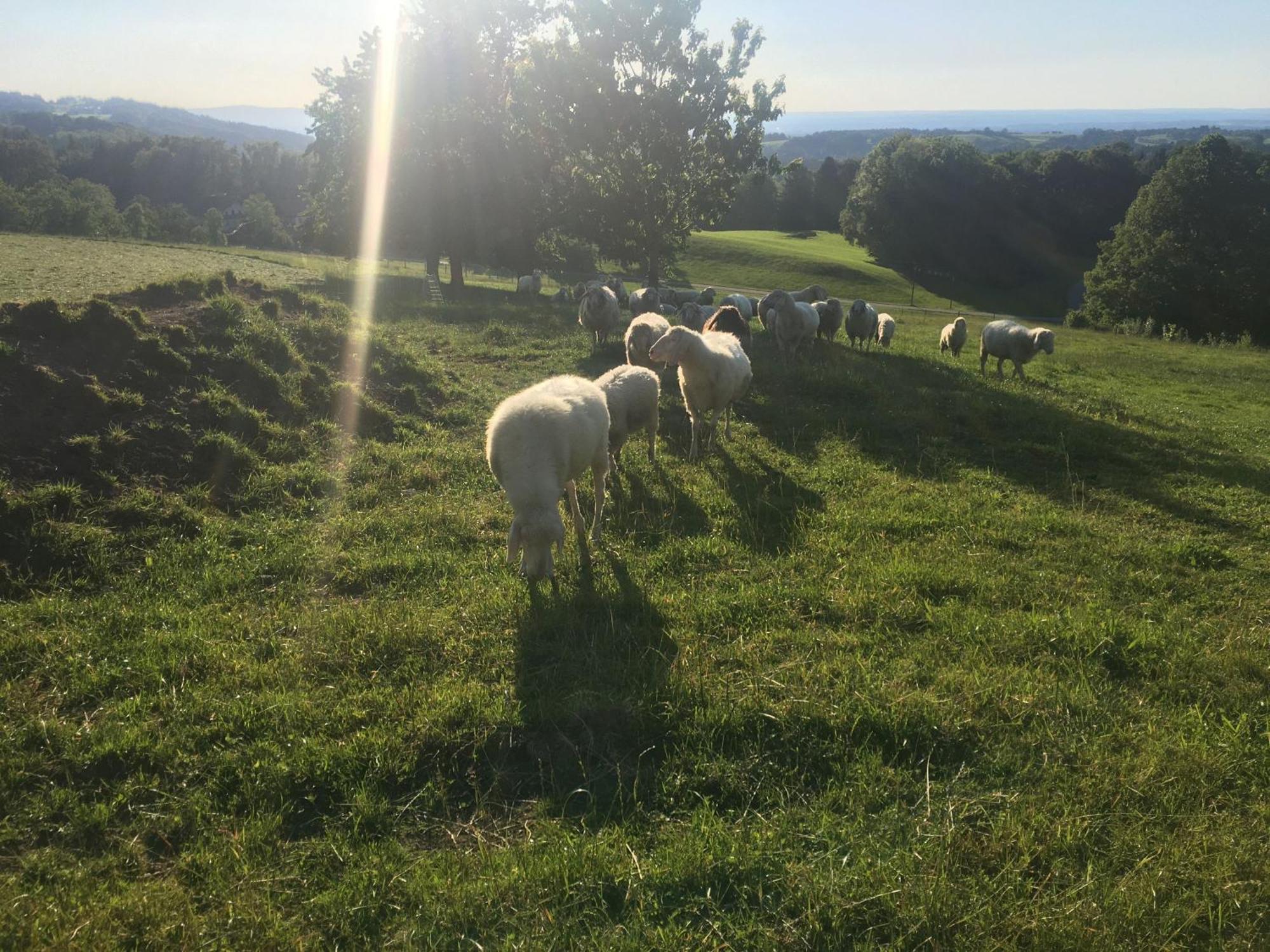 Stadlerhof フラスドルフ エクステリア 写真
