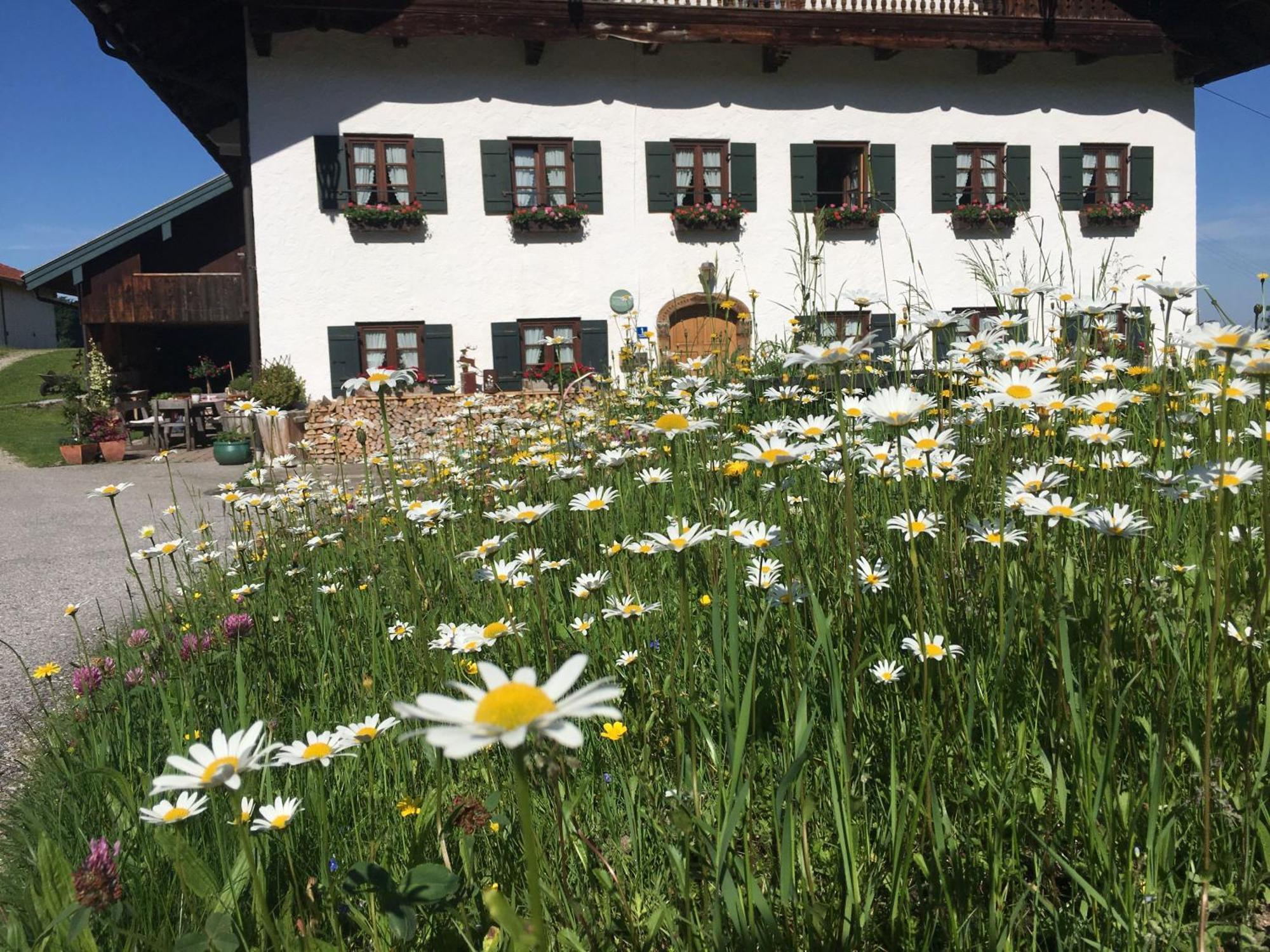 Stadlerhof フラスドルフ エクステリア 写真